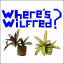 Play Where's Wilfred